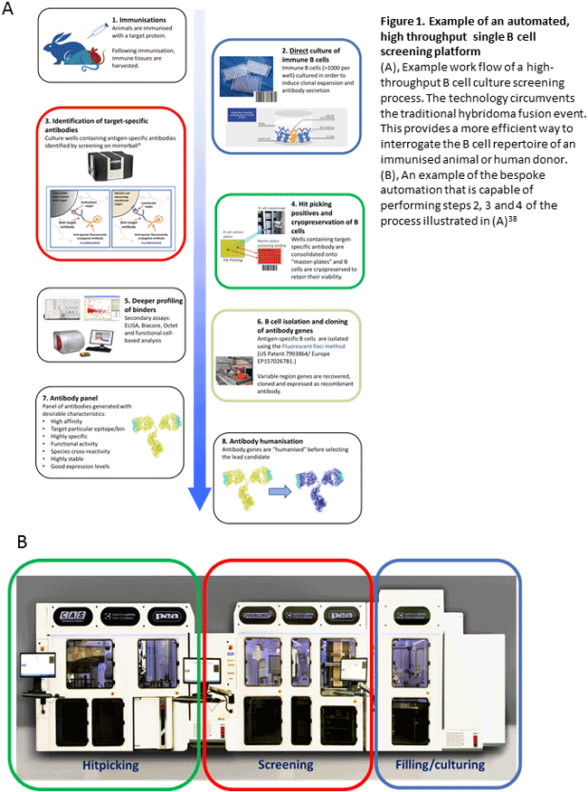 Antibody Discovery Technologies - Figure 1
