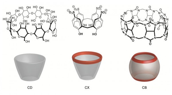 Synthetic macrocyclic receptors Figure 1