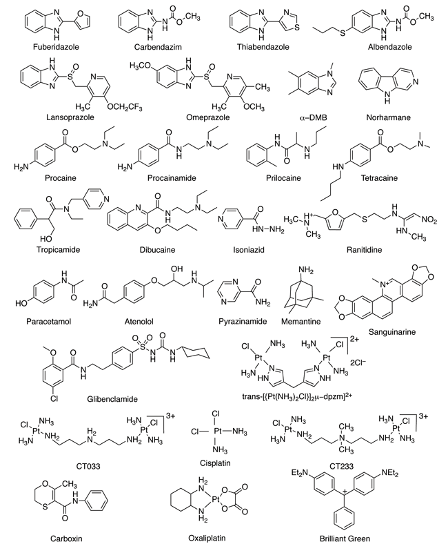 Synthetic macrocyclic receptors Figure 2