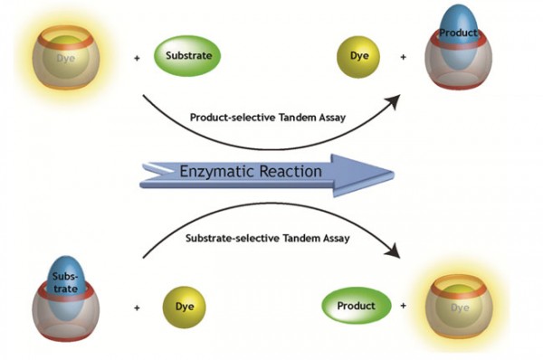 Synthetic macrocyclic receptors Figure 3