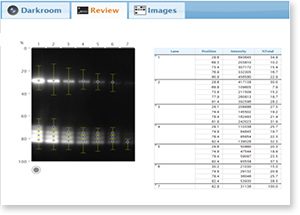 Just choose your application, capture your image, then analyze your results!