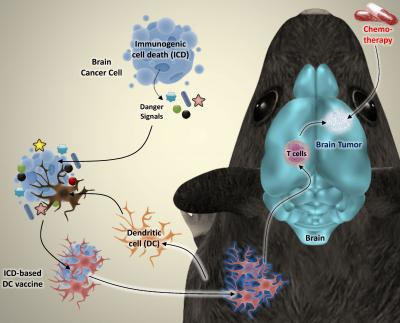 glioma