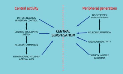 Figure 2: Central and peripheral mechanisms related to the pathophysiology of fibromyalgia