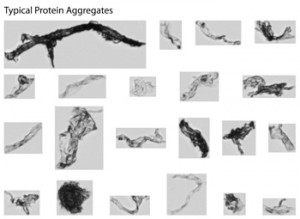 FIGURE 2.  MFI's ability to detect particle morphology and image intensity in addition to size and count lets you classify particles into their sub-groups. Other particle analyzers that offer only particle size and count can't do this. Particle classification gives you essential information on the quality of your product, which means you can now monitor changes in these particle groups at any point during development and manufacturing.