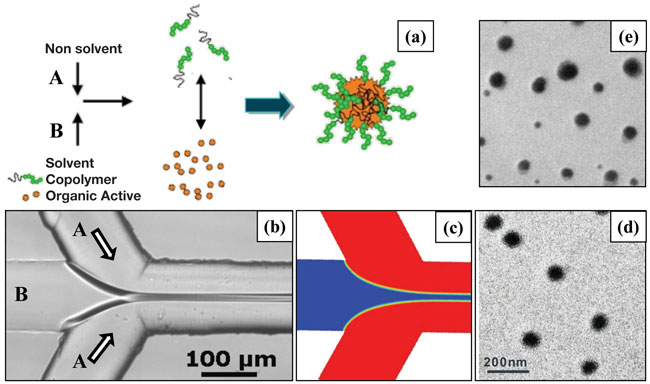 Figure 1. (a) Schematic of the formation process of polymeric micelles encapsulating hydrophobic drugs. (b)  Flow focusing microreactor for continuous flow formation of nanoparticles and (c) CFD simulation of the diffusive mixing process. (d) TEM image of nanoparticles produced with microreactors and, (e) with conventional batch reactors.