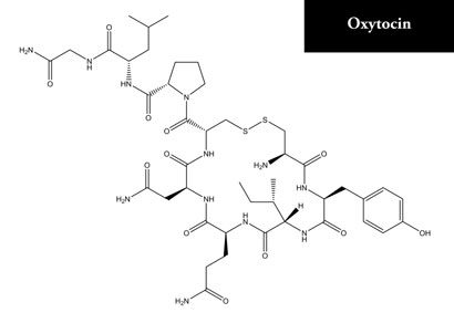 The molecular structure of oxytocin