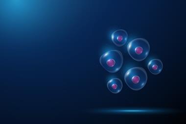 shutterstock_2662715185