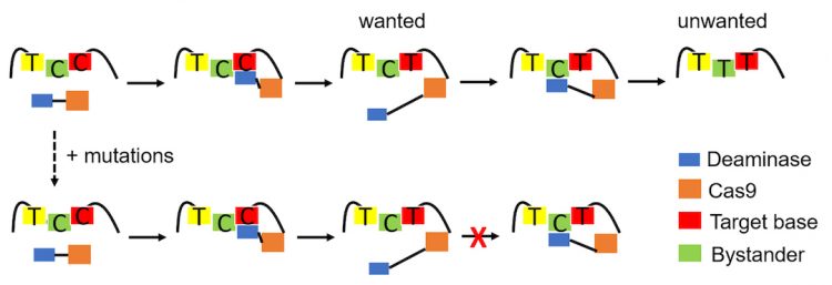 CRISPR