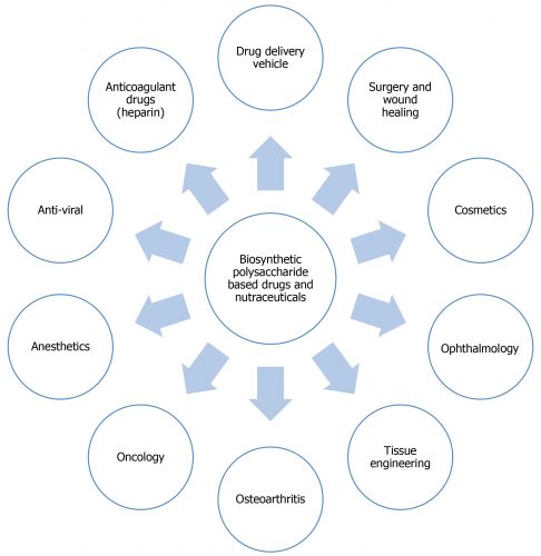 Biosynthetic polysaccharide-based drugs and nutraceuticals