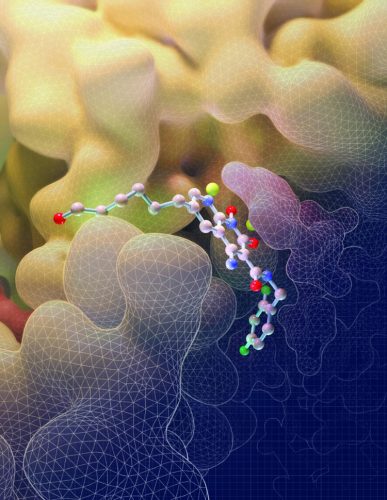  INSTI drug binding to HIV