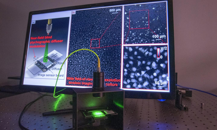 Label-free microscopy