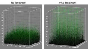 Antibody treatment