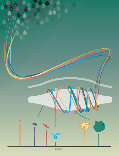 Mass spectrometry method