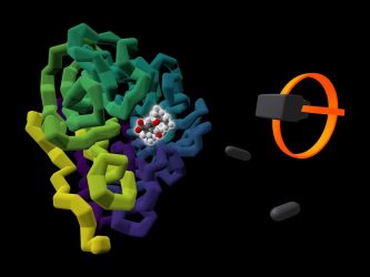 Proteins seen using VR