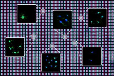 Photolithography diagram