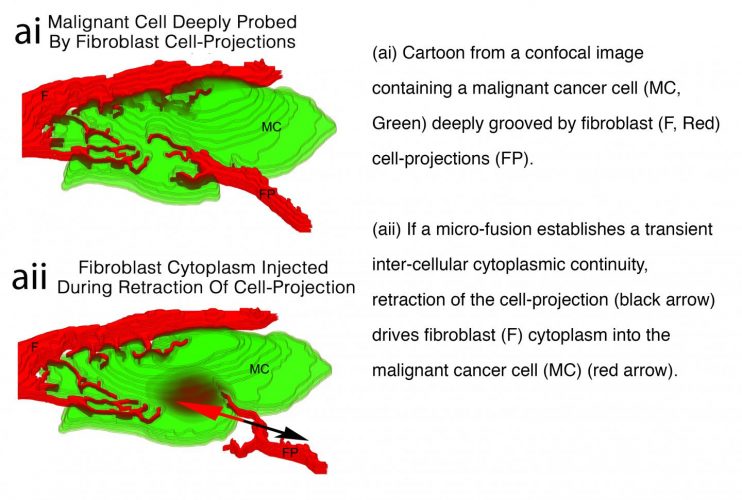 Cell-projection pumping