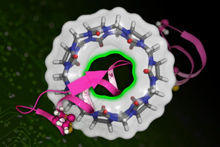 Binding affinity