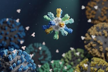 Nanoparticle vaccine