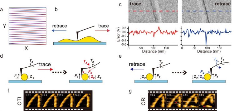 Microscopy