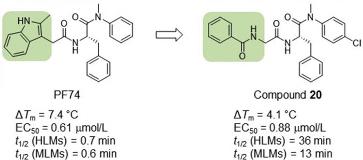 HIV compounds