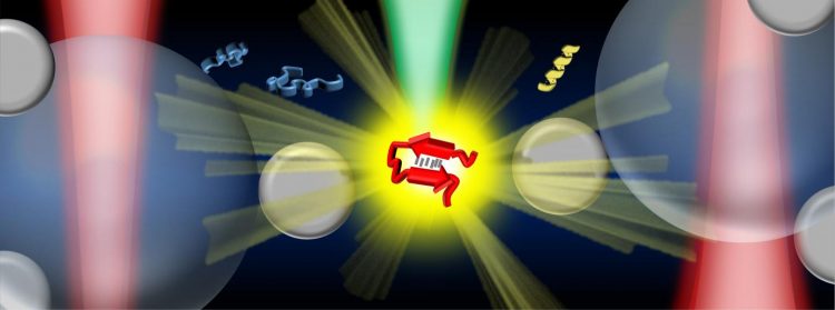 Raman-spectroscopy