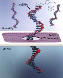 DNA sequencing