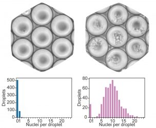 Sequencing of single-cells