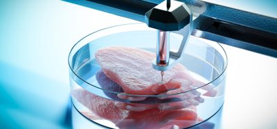 3D bioprinting