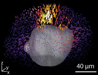 3D forces exerted by tiny cell clusters revealed by new technique