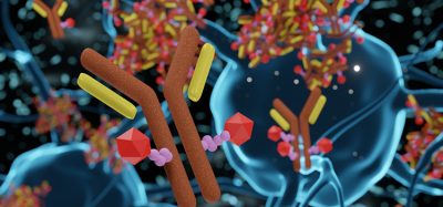 (Antibody Drug Conjugates) ADC