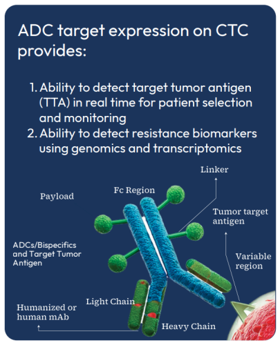 ADC target expression.png

