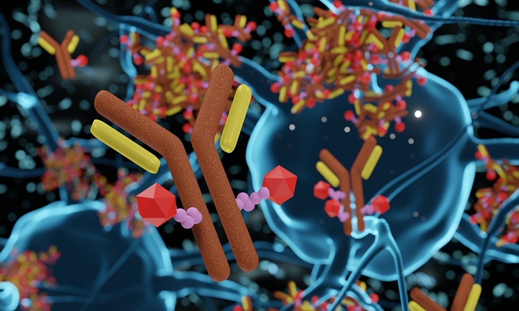 (Antibody Drug Conjugates) ADC