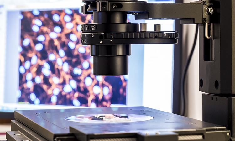 Atomic force microscopy