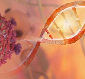 DNA strand and cancer cell