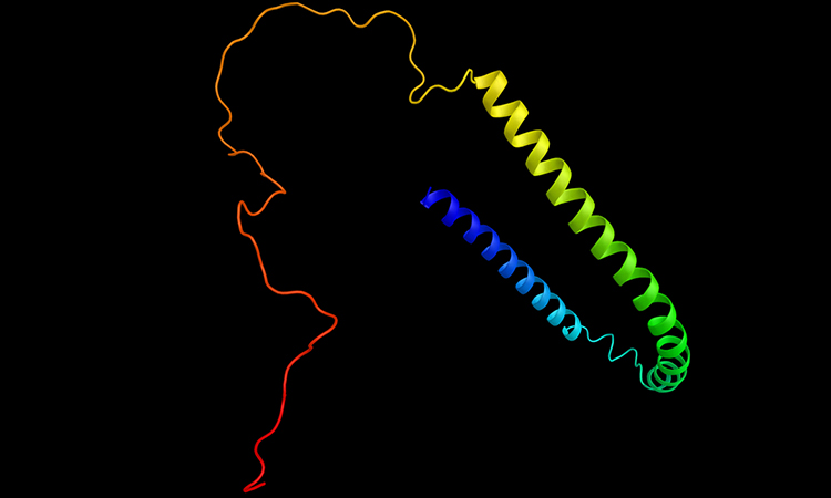 Alpha-synuclein imaged by Raman spectroscopy