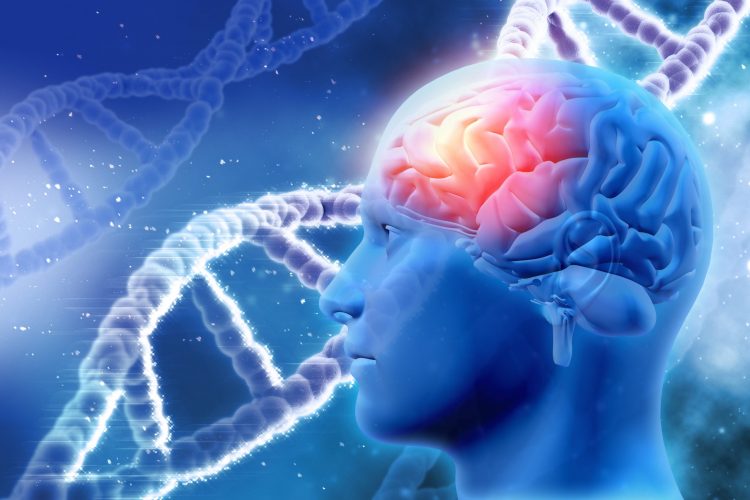 stand of DNA behing a side on view of the human head with the brain highlighted in red