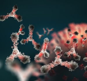 Antibodies and coronavirus