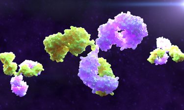 three antibodies