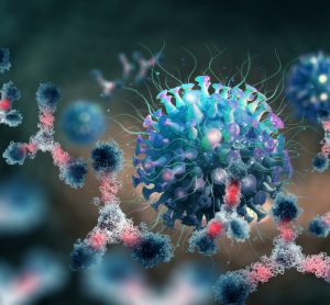 Antibodies attack virus after antibody discovery development