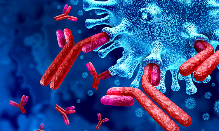 Antibody and SARS-CoV-2