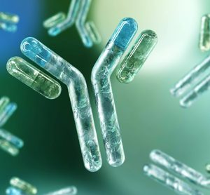 Antibody and Clarametyx
