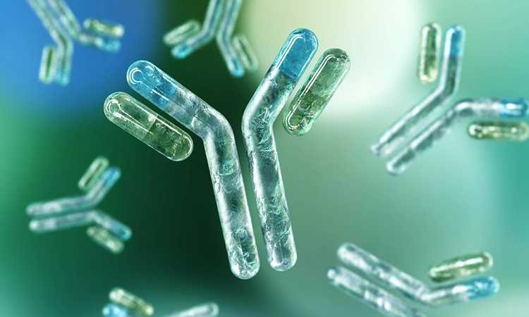 Antibody and Clarametyx