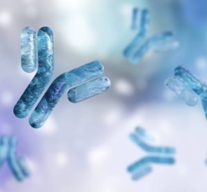 Antibodies