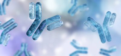 Antibodies