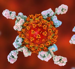 SARS-CoV-2 and antibodies
