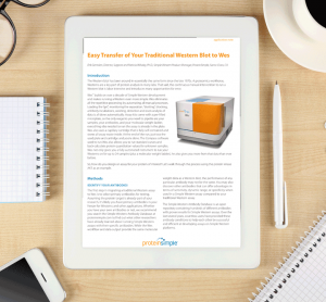 App-Note--Easy-Transfer-of-Your-Traditional-Western-Blot-to-Wes