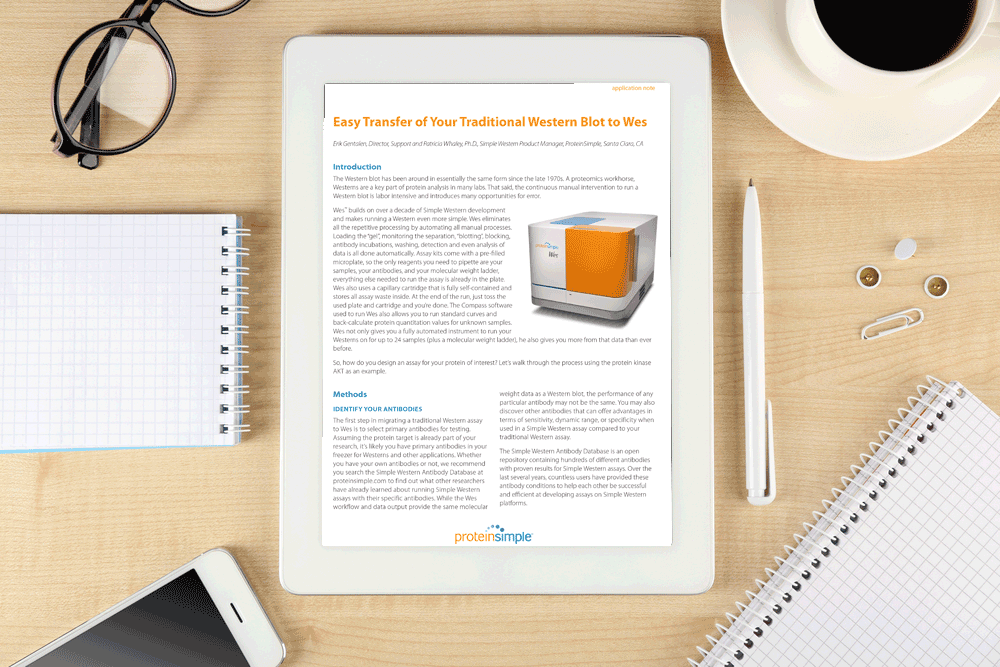 App-Note--Easy-Transfer-of-Your-Traditional-Western-Blot-to-Wes