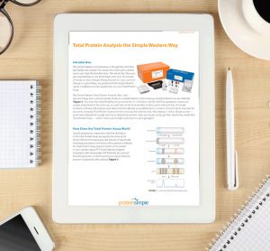 App-Note--Total-Protein-Analysis-the-Simple-Western-Way