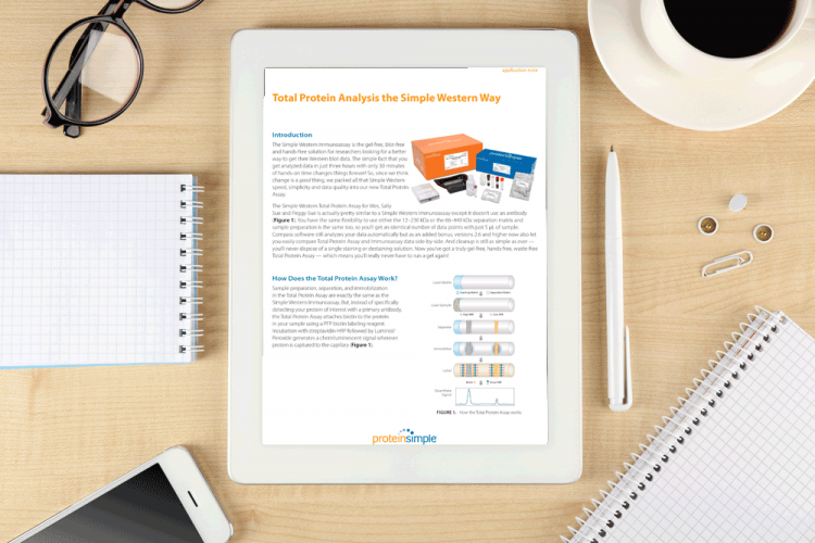 App-Note--Total-Protein-Analysis-the-Simple-Western-Way