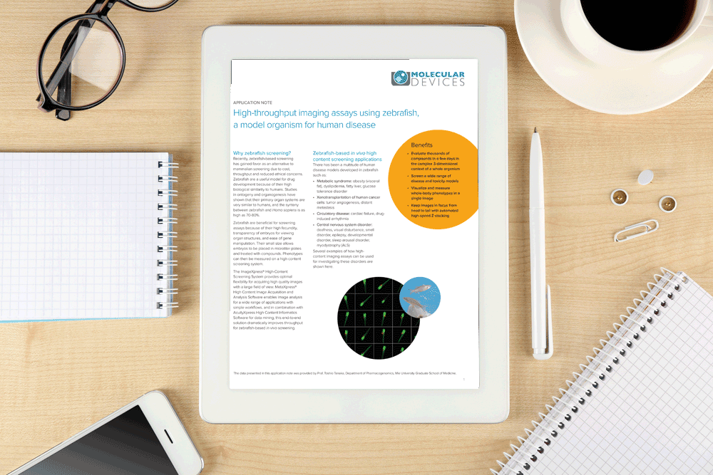 App-note--High-throughput-imaging-assays-using-zebrafish